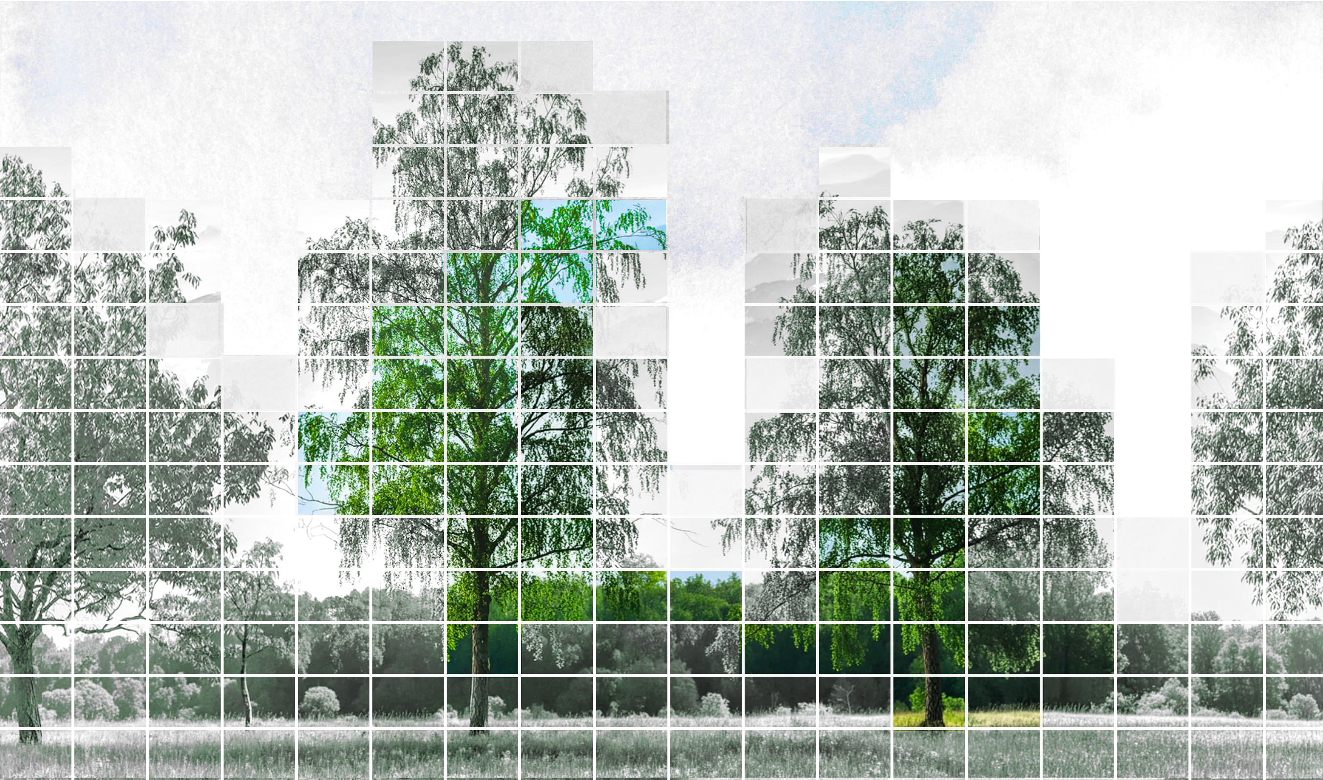 Card 1 Image